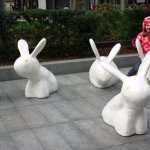 YEAR 6: RABBITS